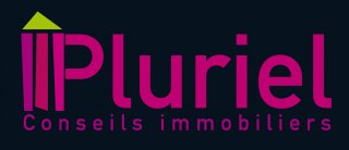 PLURIEL CONSEILS