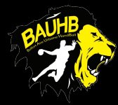 BELFORT AIRE URBAINE HAND BALL