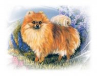 DES DOUX REVES D'AMOURS