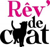 REVE DE CHATS