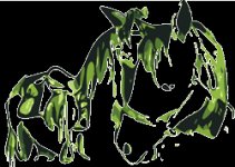 ECURIES DE LA SABATARIE