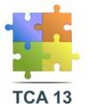 TCA 13