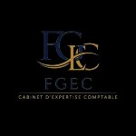 FG EXPERTISES CONSEILS