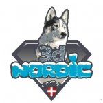 3 D NORDIC
