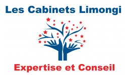 LIMONGI CONSEIL