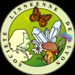 LINNEENNE DE LYON