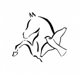 CENTRE EQUESTRE LA PALOMBE