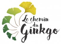 LE CHEMIN DU GINKGO, INSTITUT QI GONG ET MASSAGE ÉNERGÉTIQUE CHINOIS