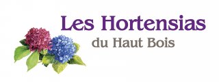 LES HORTENSIAS DU HAUT BOIS