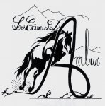 LES ECURIE D'AMBUR
