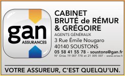 BRUTE DE REMUR ARNAUD