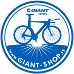 GIANT CYCLES SAINT SPIRE