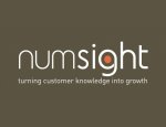 NUMSIGHT INFORMATION SERVICES