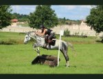 Photo DOMAINE EQUESTRE DE HAUTE MAISON