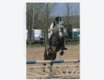 Photo PONEY CLUB ET CENTRE EQUESTRE DES MESNULS