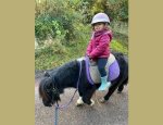 Photo PONEY CLUB ET CENTRE EQUESTRE DES MESNULS
