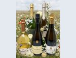 Photo WINE NOTE