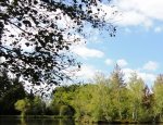 Photo CAMPING ETANG DE SOLOGNE