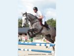 Photo CENTRE EQUESTRE DES GRANDS PINS