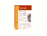 PLURI INFO