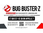 DIAG.IMMO-BZH / BUG BUSTER'Z