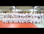 Photo COMITE DEPT 35 KARATE ET DA