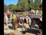 Photo EQUI GYM CENTRE ÉQUESTRE