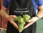 Photo CHAMPAGNE PIERRE GIMONNET ET FILS