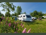 Photo CAMPING CARAVANING DU DOMAINE DE L'ETANG