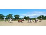Photo CENTRE EQUESTRE DE LA COTE DE JADE