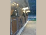 Photo CENTRE EQUESTRE LA BEAUME