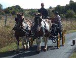 Photo FERME EQUESTRE DES MONTS D'AUBRAC. GITE D'ETAPE ET DE SEJOUR- CENTRE EQUESTRE- PONEY-CLUB