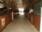 Photo ASSOCIATION CHEVAL GARONNE