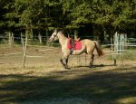CENTRE EQUESTRE DES POURCAUDS