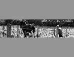 Photo DOMAINE LES CARMELS