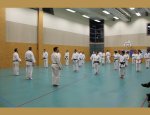 Photo VAILLANTE KARATE
