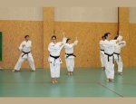 Photo VAILLANTE KARATE