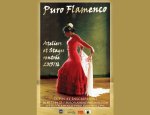 Photo FLAMENCO PURO