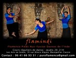 Photo FLAMENCO PURO