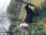 Photo LA FERME DE LA PICH
