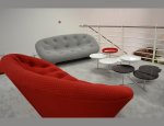 Photo QUESTIONS D'INTERIEUR - LIGNE ROSET
