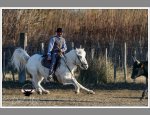 Photo PATRICK PELISSIER SELLERIE CAMARGIASE