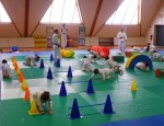 Photo L'AVENIR SPORTIF DE CHANCEAUX SECTION JUDO