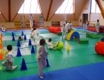 Photo L'AVENIR SPORTIF DE CHANCEAUX SECTION JUDO