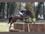 CENTRE EQUESTRE DE LA GOSNIERE
