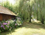 Photo LE COTTAGE - CHAMBRES D'HOTES EN ESSONNE