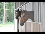 CENTRE EQUESTRE DES MANNESARTS / AFEIPH
