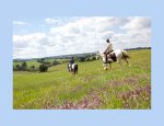 Photo CENTRE EQUESTRE DE LA VALLEE