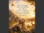 Photo AU BONHEUR DES FIDELES COMPAGNONS