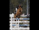 Photo MOYON EQUITATION
